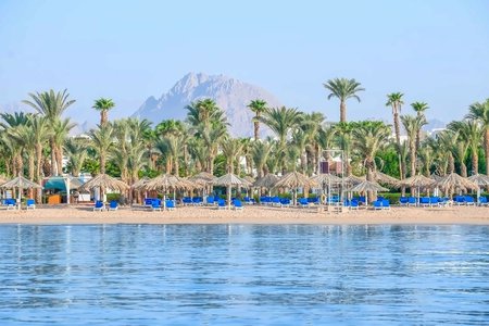 Jaz Sharm Dreams